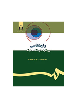 واجشناسی: رویکردهای قاعده بنیاد