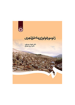 ژئومورفولوژی مناطق شهری
