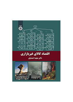 اقتصاد کالای غیربازاری
