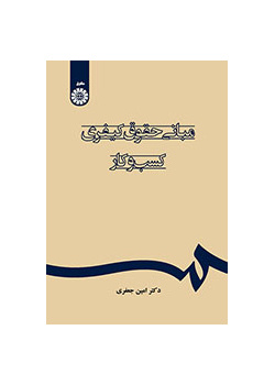 مبانی حقوق کیفری کسب‌و‌کار