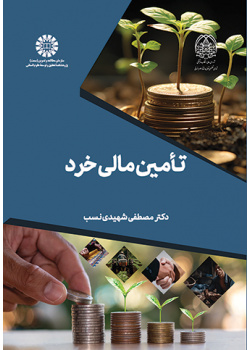 تأمین مالی خرد