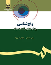 واجشناسی: رویکردهای قاعده بنیاد