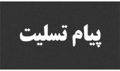 رئیس «سمت» درگذشت برادر وزیر علوم را تسلیت گفت